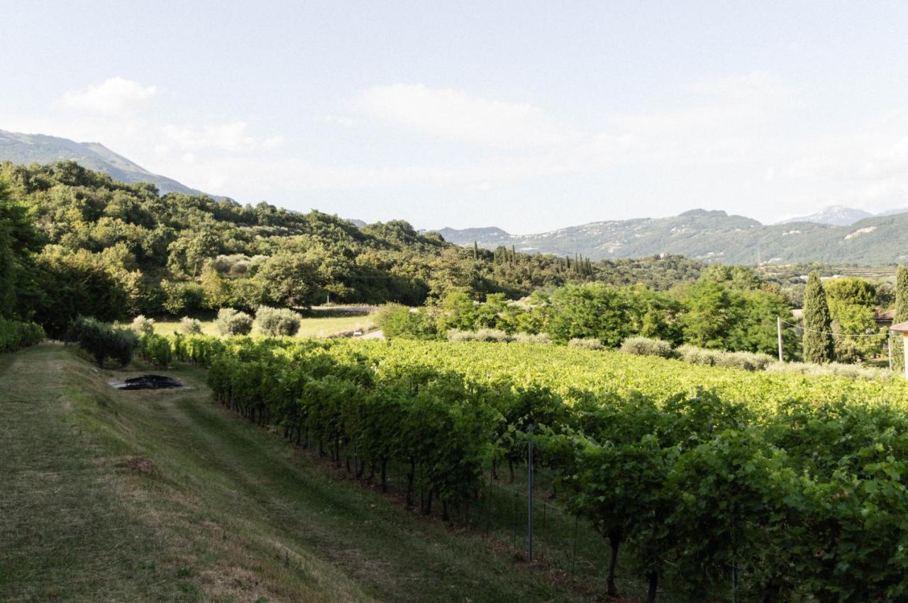 Agriturismo Ca' Cristane Rivoli Veronese 外观 照片