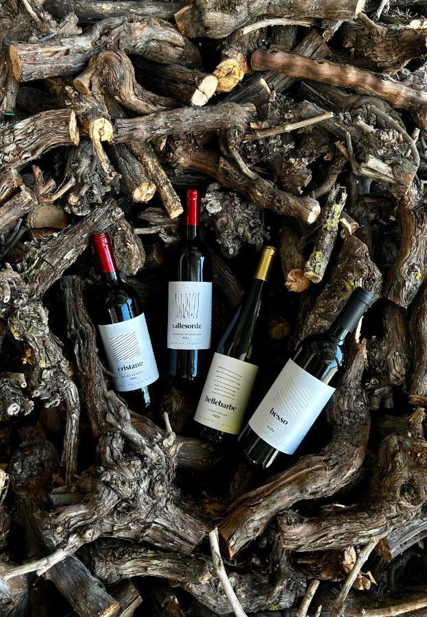Agriturismo Ca' Cristane Rivoli Veronese 外观 照片
