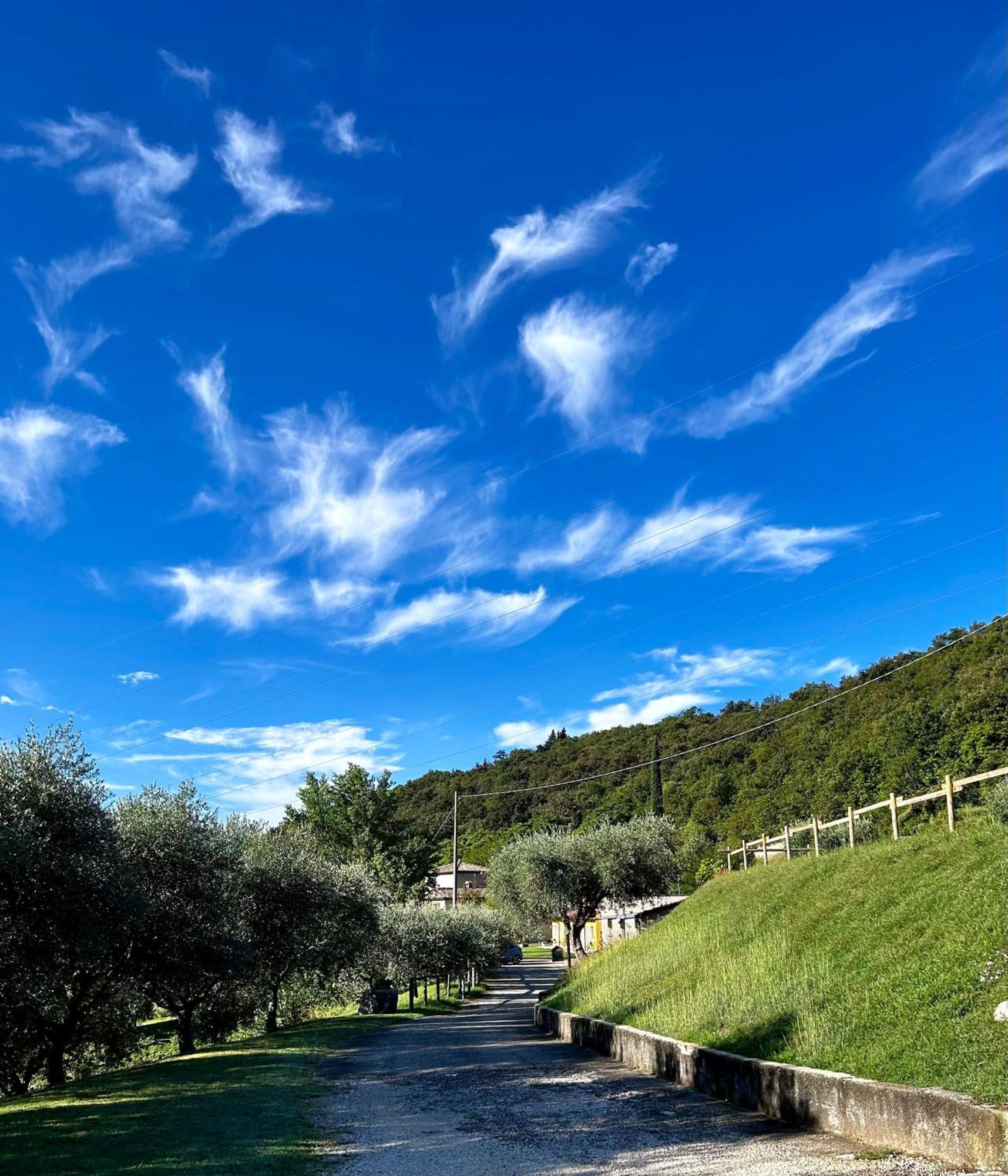 Agriturismo Ca' Cristane Rivoli Veronese 外观 照片