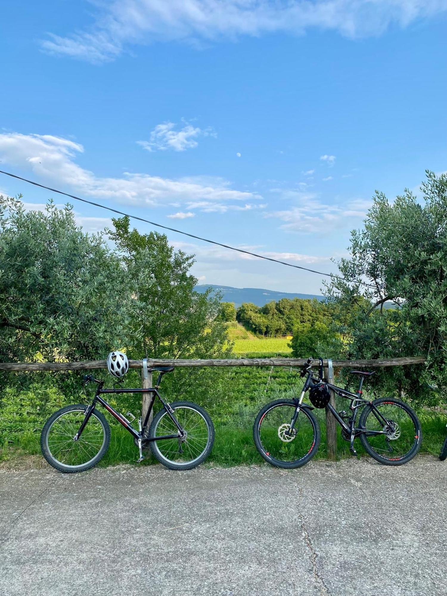 Agriturismo Ca' Cristane Rivoli Veronese 外观 照片