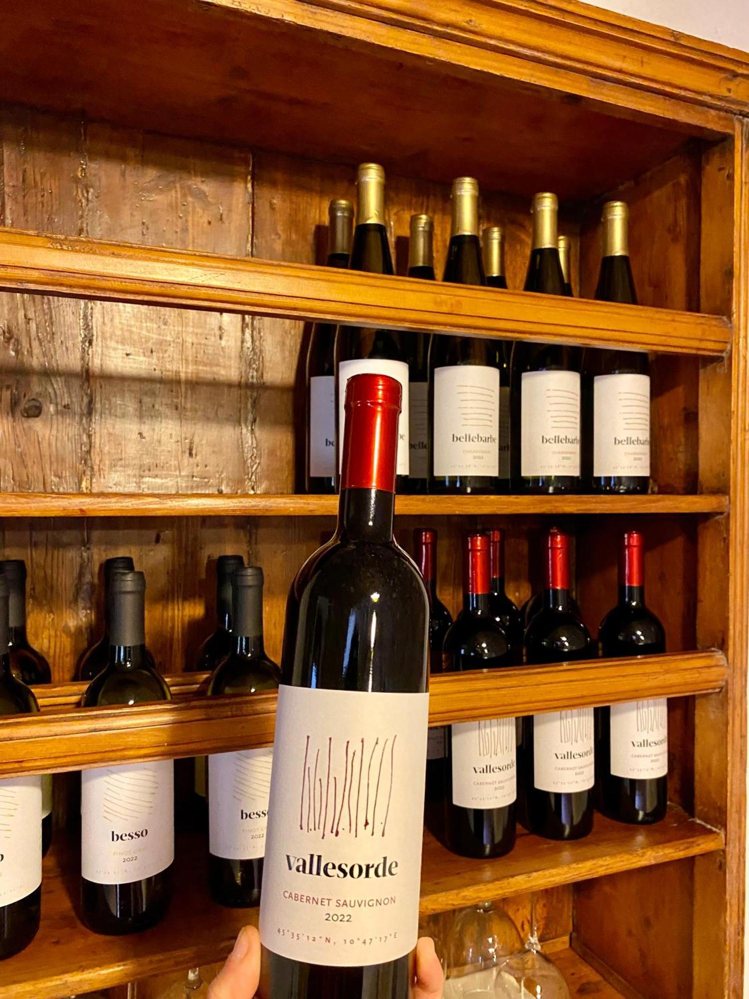 Agriturismo Ca' Cristane Rivoli Veronese 外观 照片