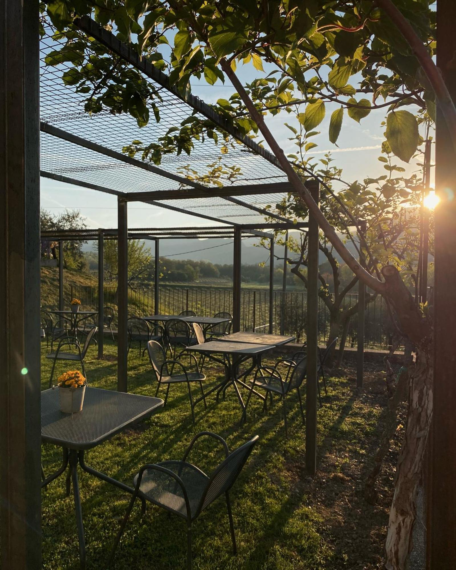 Agriturismo Ca' Cristane Rivoli Veronese 外观 照片